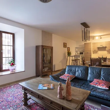 Le Rhenanus Jacques Taurellus - Appartement Duplex Au Calme - Centre Ville - Parking Gratuit Selestat Exterior photo