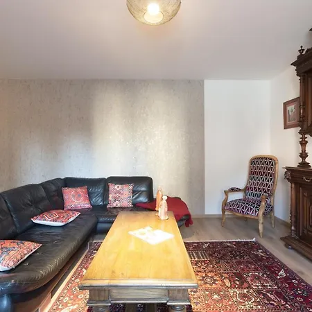 Le Rhenanus Jacques Taurellus - Appartement Duplex Au Calme - Centre Ville - Parking Gratuit Selestat Exterior photo