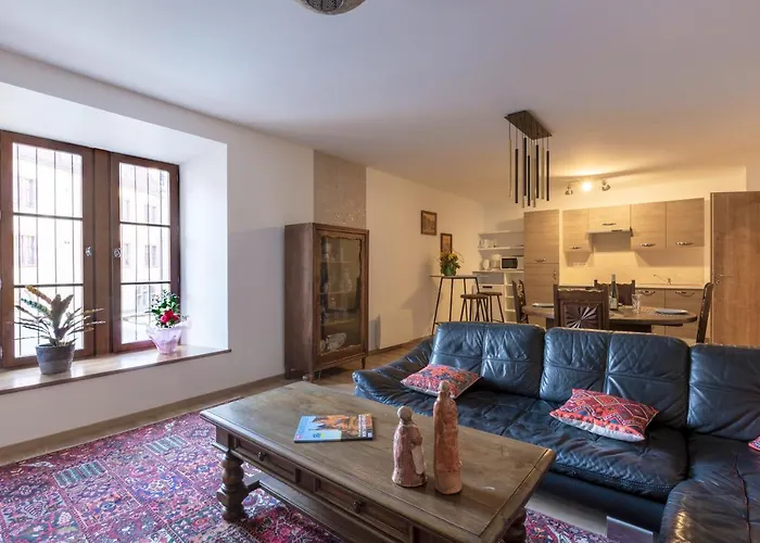 Le Rhenanus Jacques Taurellus - Appartement Duplex Au Calme - Centre Ville - Parking Gratuit