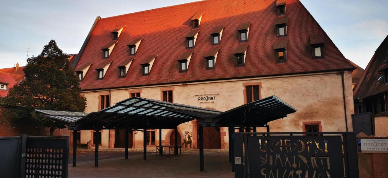 Le Rhenanus Jacques Taurellus - Duplex Au Calme - Centre - Parking Gratuit Apartment Selestat