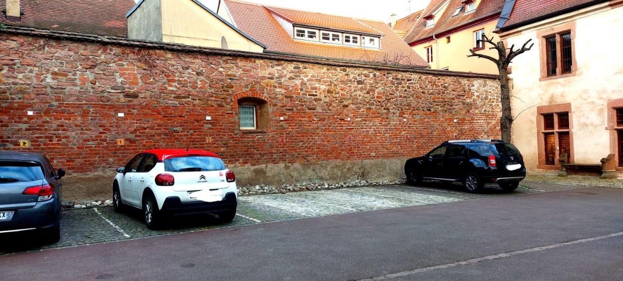 Appartement Le Rhenanus Jacques Taurellus - Duplex Au Calme - Centre - Parking Gratuit