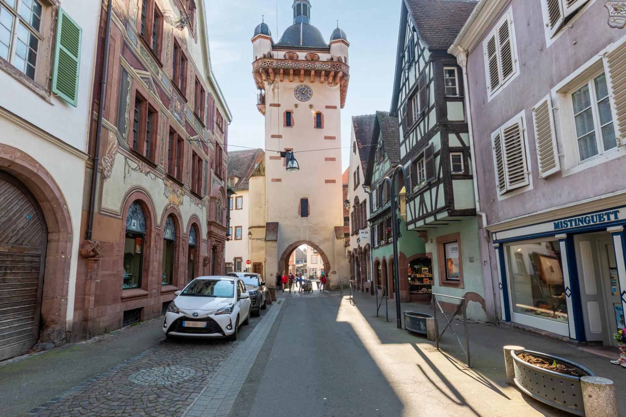 Le Rhenanus Jacques Taurellus - Duplex Au Calme - Centre - Parking Gratuit Apartment Selestat