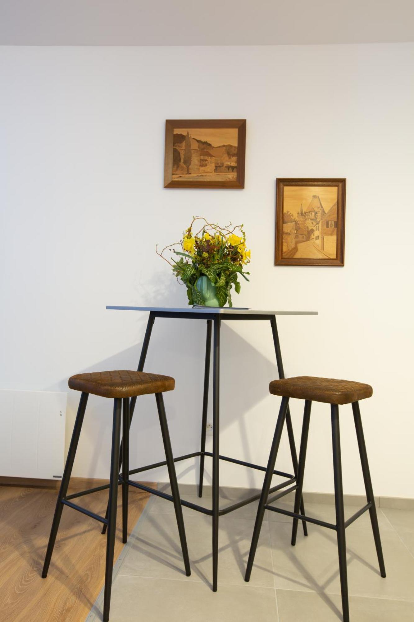 Le Rhenanus Jacques Taurellus - Duplex Au Calme - Centre - Parking Gratuit Selestat